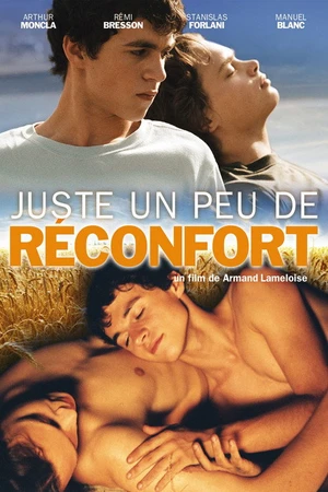 Постер к фильму The Comforter (2004)