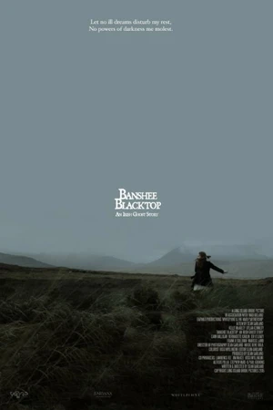 Постер к фильму Баньши: история ирландских призраков (2016)