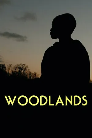 Постер к фильму Woodlands (2015)
