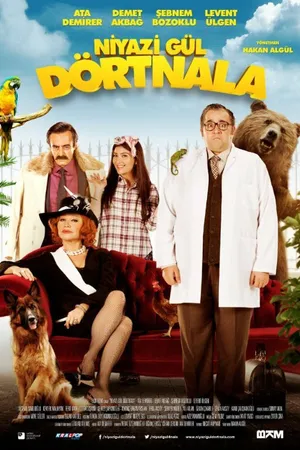 Постер к фильму Niyazi Gül Dörtnala (2015)
