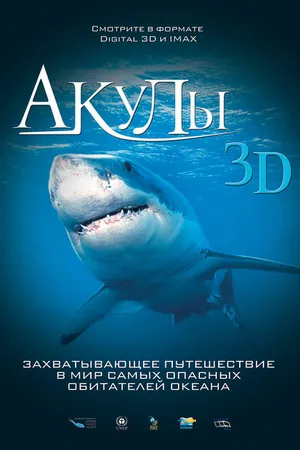Постер к фильму Акулы 3D (2004)