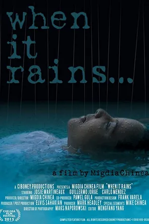Постер к фильму When It Rains (2015)