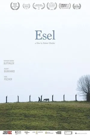 Постер к фильму Esel (2015)