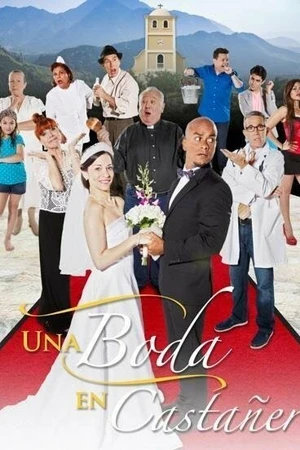 Постер к фильму Una Boda en Castañer (2015)