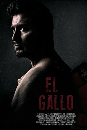Постер к фильму Эль Галло (2018)