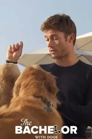 Постер к фильму The Bachelor with Dogs and Scott Eastwood (2015)