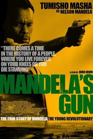 Постер к фильму Mandela's Gun (2016)