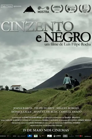 Постер к фильму Серый и черный (2015)