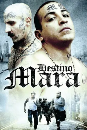 Постер к фильму Destino Mara (2010)