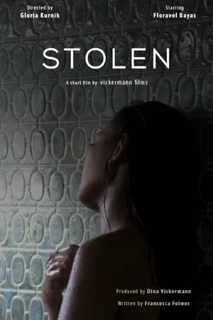 Постер к фильму Stolen (2015)