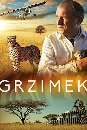 Постер к фильму Гржимек (2015)