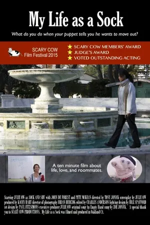 Постер к фильму My Life as a Sock (2015)