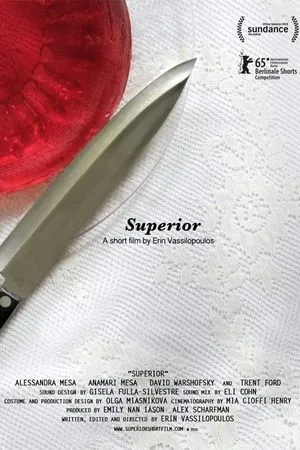 Постер к фильму Superior SF15-1538 (2015)
