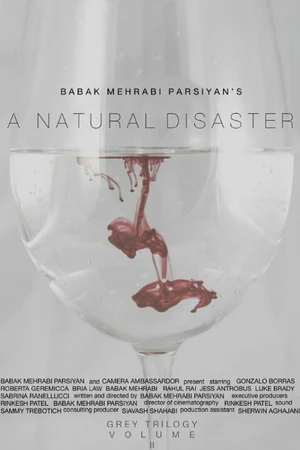 Постер к фильму A Natural Disaster (2018)