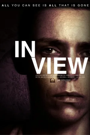 Постер к фильму In View (2016)