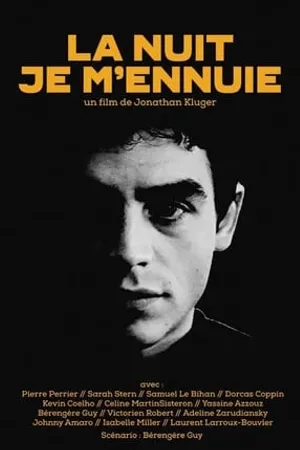 Постер к фильму La nuit je m'ennuie (2015)