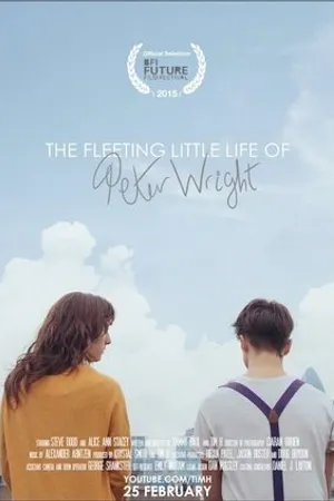 Постер к фильму The Fleeting Little Life of Peter Wright (2015)