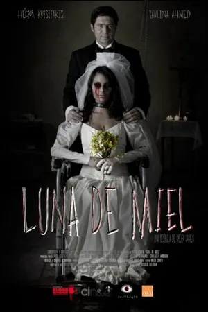 Постер к фильму Медовый месяц (2015)