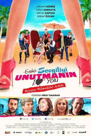 Постер к фильму Eski Sevgiliyi Unutmanin 10 Yolu (2015)