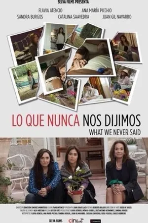 Постер к фильму Lo que nunca nos dijimos (2015)