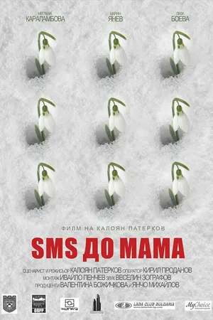Постер к фильму Message to Mom (2015)