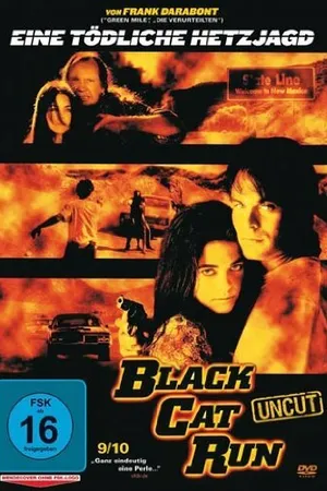 Постер к фильму Бег черной кошки (1998)