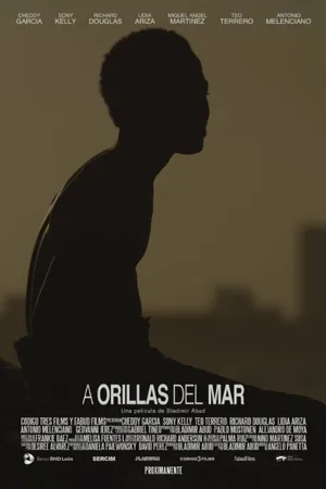 Постер к фильму A Orillas del Mar (2016)