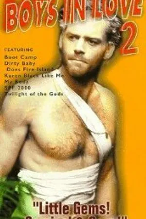 Постер к фильму Boys in Love 2 (1998)