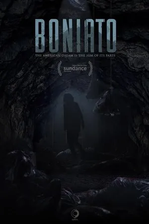Постер к фильму Boniato (2015)