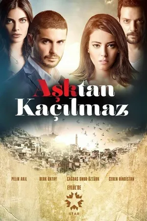 Постер к сериалу От любви не убежать (2014)
