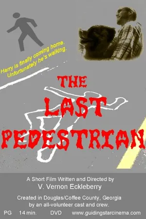 Постер к фильму The Last Pedestrian (2014)