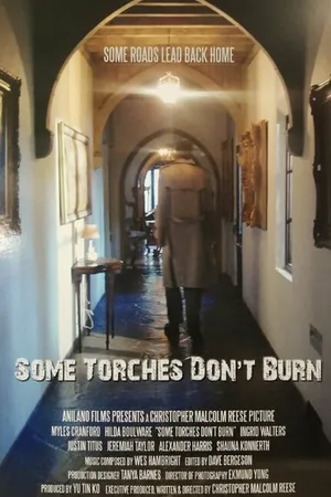 Постер к фильму Some Torches Don't Burn (2015)