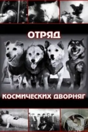Постер к фильму Отряд космических дворняг (2004)