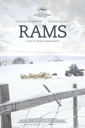 Постер к фильму Бараны (2015)