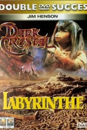 Постер к фильму Лабиринт (1996)