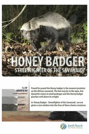 Постер к фильму Ultimate Honey Badger (2013)