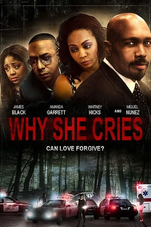 Постер к фильму Why She Cries (2015)