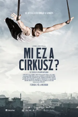 Постер к фильму Что за цирк? (2017)