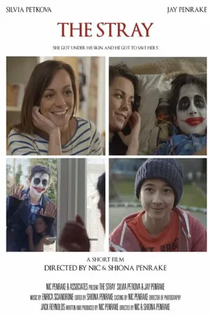 Постер к фильму The Stray (2015)