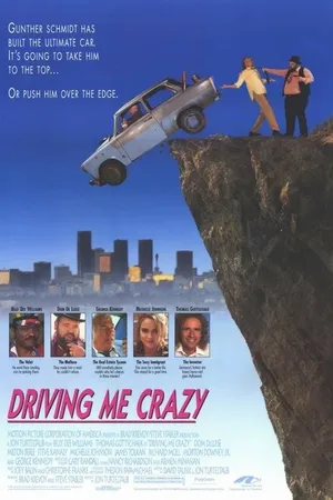 Постер к фильму Сумасшедшая история (1991)