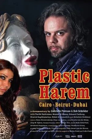 Постер к фильму Plastic Harem (2014)