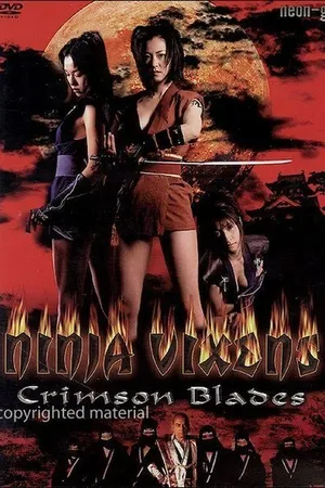 Постер к фильму Ведьмы-ниндзя 2 (2000)
