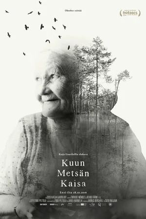 Постер к фильму Волшебный лес Кайсы (2016)