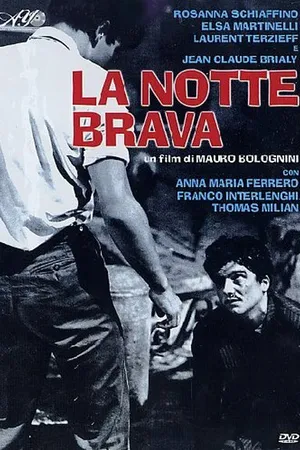 Постер к фильму Бурная ночь (1959)