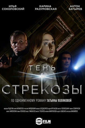 Постер к сериалу Тень стрекозы (2015)