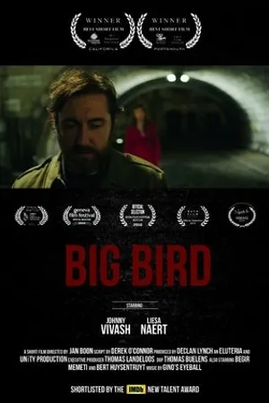 Постер к фильму Big bird (2015)
