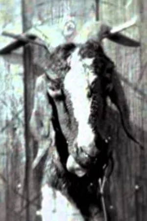 Постер к фильму Slipknot: Goat - The 10th Anniversary of Iowa (2011)