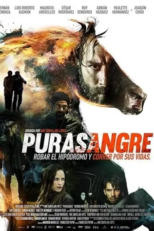 Постер к фильму Purasangre (2016)