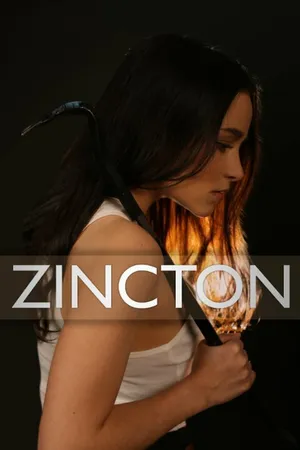 Постер к фильму Zincton (2014)