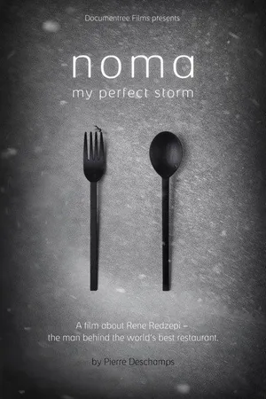 Постер к фильму «Нома» – мой идеальный шторм (2015)